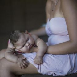 Vědci mají obavy, aby virus zika nepřenášel i běžný komár