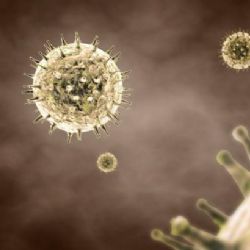 Virové nebo bakteriální onemocnění? O nasazení antibiotik pomůže rozhodnout test CRP