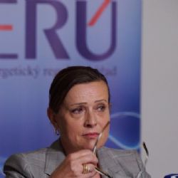 Vitásková se stížností brání i trestnímu stíhání