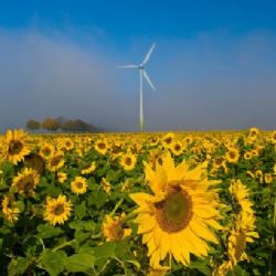 Vláda řeší miliardy zeleným elektrárnám. Vitásková je stále proti