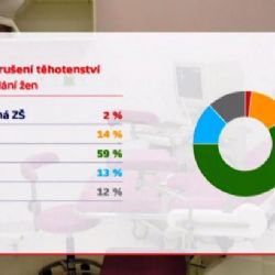 Za 25 let klesl počet umělých potratů na pětinu
