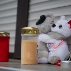 Žena z bavorského Wallenfelsu se přiznala k vraždě několika dětí