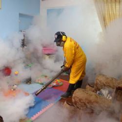 Zika už je v Kanadě, roste počet případů obrny svalstva