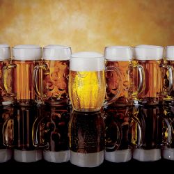 Plzeňský ležák slaví 175. narozeniny na Pilsner Festu už tuto sobotu