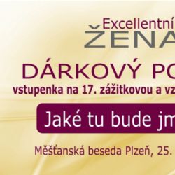 17. EXCELLENTNÍ ŽENA