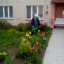 Plníme Vaše nevyslovená přání - záhonky a jaro v DPS Kožlany