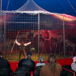 Plzeň podpoří čtyři rezidenční projekty