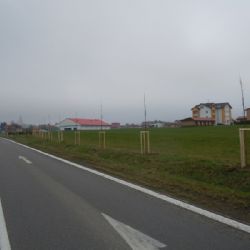 Stromy podél silnic hlavně kácíme a jen výjimečně sázíme. I v kraji