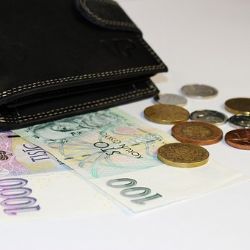 Jedenáctiletý chlapec odevzdal strážníkům ztracenou peněženku plnou peněz