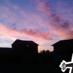 Chcete ochránit váš majetek moderními elektronickými systémy?