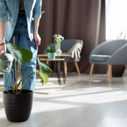 8 tipů, jak udržovat čisté a zdravé prostředí a atmosféru v domácnosti