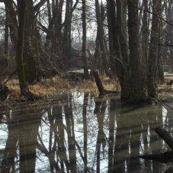 Povodně v kraji údajně nehrozí