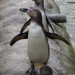 Novinky v plzeňské ZOO 