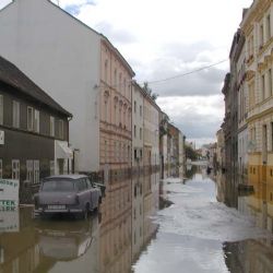 Diecézní charita má novou službu 