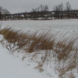 V neděli a v pondělí čekejme náledí a vichřici