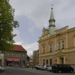 Blovice nebudou mít městské strážníky