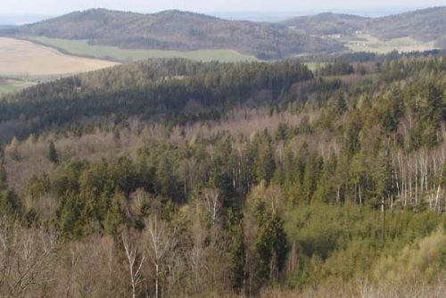 Foto: Chráněná oblast Český les prý přiláká turisty