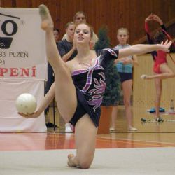 Moderní gymnastky bojovaly o Plzeňský pohár