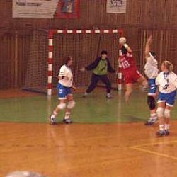 Slavia Plzeň porazila M. Boleslav