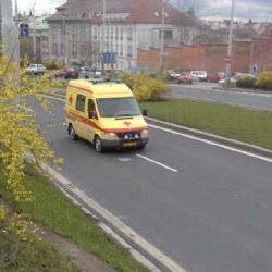 Myslivec trefil muže kozlicí do nohy