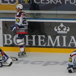 Plzeň posílí obránce Nedoma