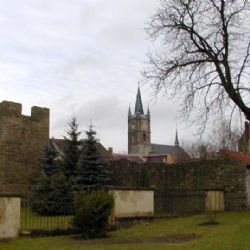 Obce chtějí pomoc městských strážníků