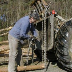 Národní park prodává více palivového dříví