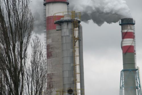 Foto: Elektrárna Tisová spálí nejvíc biomasy v historii
