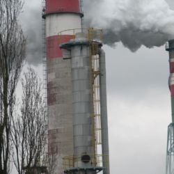Elektrárna Tisová spálí nejvíc biomasy v historii
