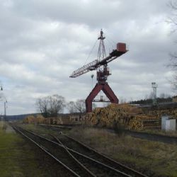Řidič našel u Srní na Šumavě smrt pod dřívím