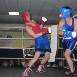 Plzeňští boxeři uspěli v Oblastním kole na domácí půdě