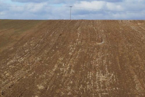 Foto: V Plzeňském kraji skončila sklizeň, úroda je slušná