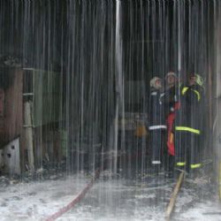 Hasiče včera zaměstnávaly padlé stromy