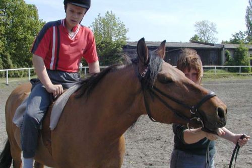Foto: Pošumavím povede stezka pro turisty na koních