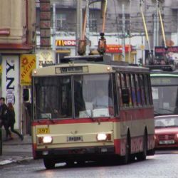 Kapsáři řádí hlavně v plzeňské MHD