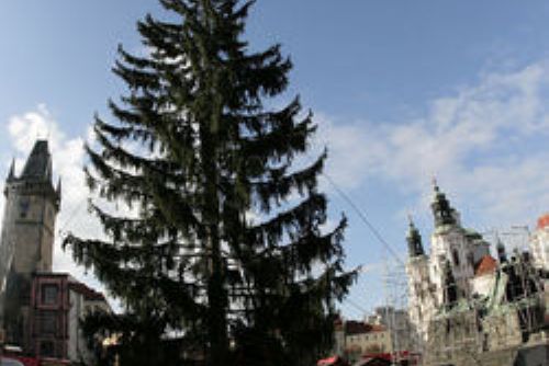 Foto: V Plzeňském kraji se rozsvěcují vánoční stromy