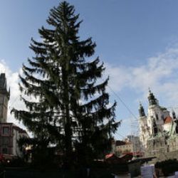 V Plzeňském kraji se rozsvěcují vánoční stromy