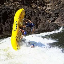 Festival Na ulici ovládne adrenalin