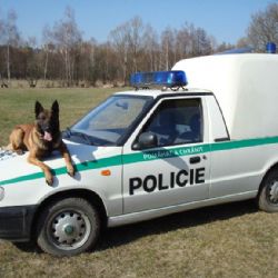 Belgický ovčák Uran dostihl pachatele