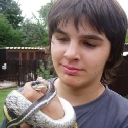Děti v Rokycanech vyděsila obří užovka