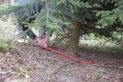 Foto: Hajní na Tachovsku vyrážejí do lesa s nůžkami