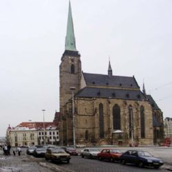 Z centra Plzně mizí stromky, firmy také sypou chodníky