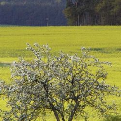 Beseda se zaměří na rozvoj Plzeňského kraje