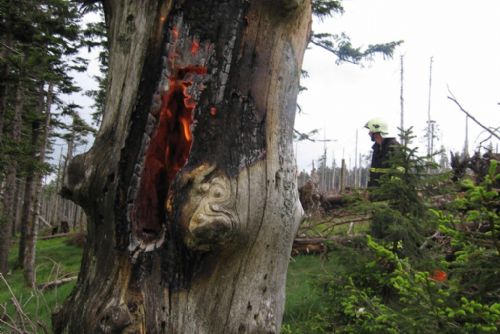 Foto: Na Jezerní stěně hořel strom zasažený bleskem