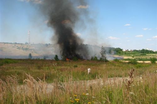 Foto: Obyvatele plzeňských Vinic vyděsil požár trávy