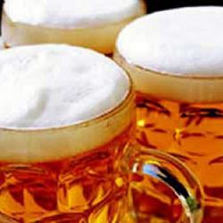 Pilsner Fest  - 166. výročí uvaření první várky piva. 