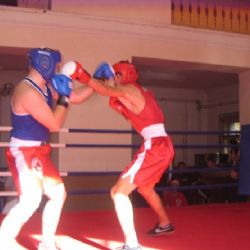 Plzeňští boxeři se představili v Brandýse nad Labem