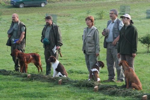 Foto: Podzimním zkouškám loveckých psů předcházel výcvikový tábor