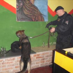 Policisté na Domažlicku rozjeli akci Valcha