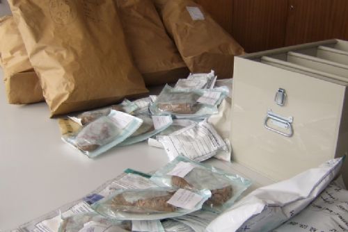 Foto: Policisté zlikvidovali 25 kilogramů drog